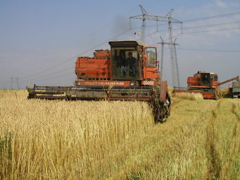 15:40 В республике намолочено около 65 тыс. тонн зерна